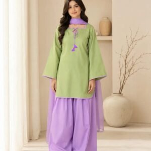 3 Pcs Women's Stitched Cotton Plain Suit