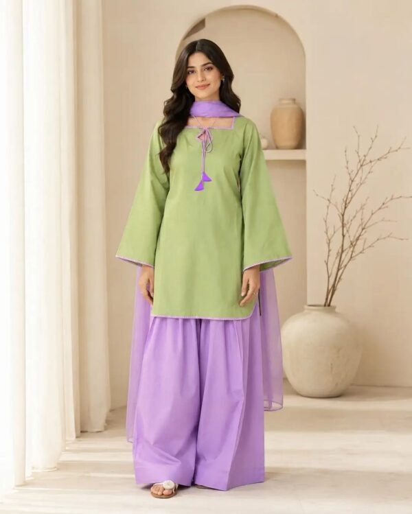 65 3 Pcs Women's Stitched Cotton Plain Suit